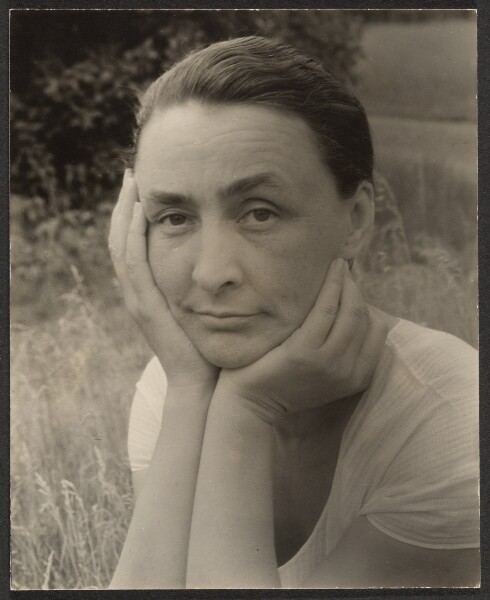 Alfred Stieglitz, Georgia O'Keeffe: A Portrait