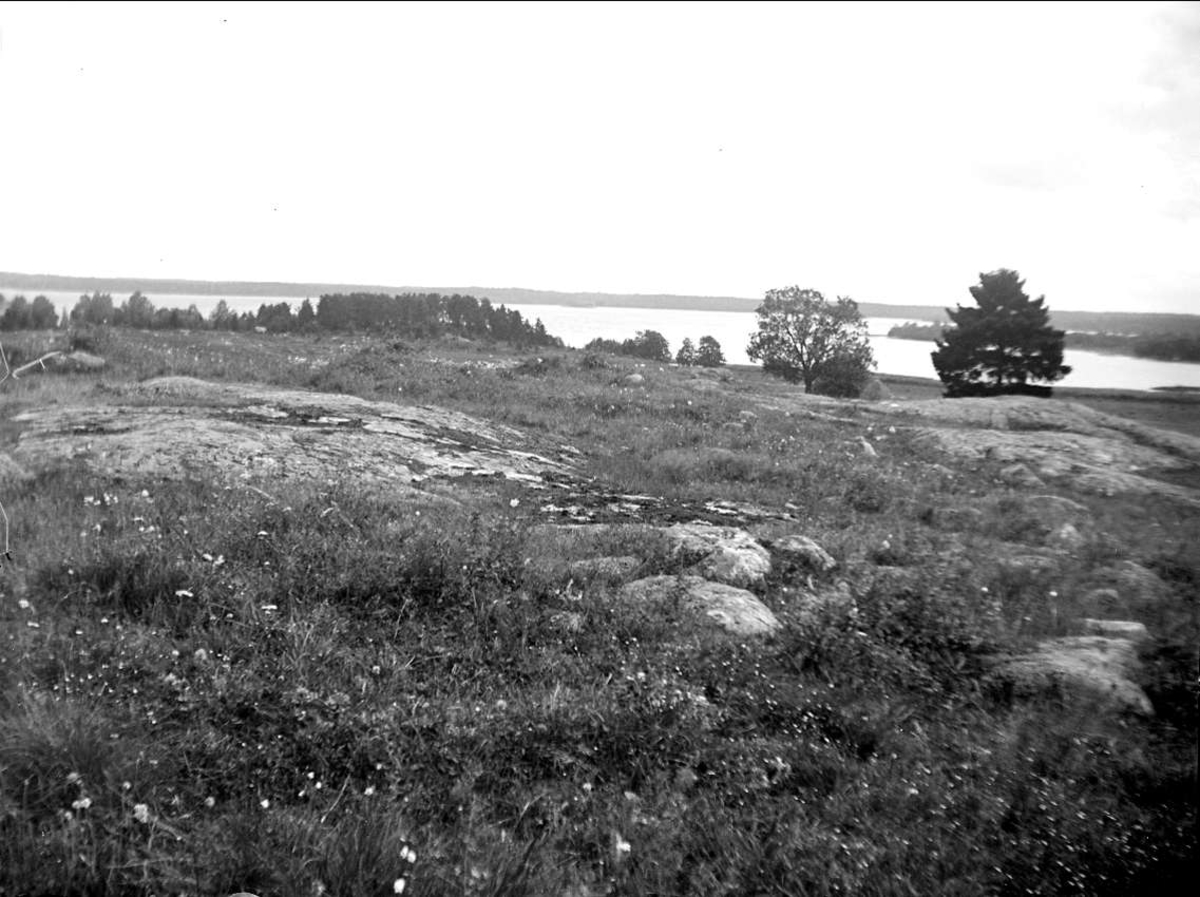 August Fredrik Schagerström, Landskapsvy med sjön Limmaren, Frötuna socken, Uppland 1927
