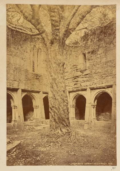 Unknown, Muckross Abbey, Killarney