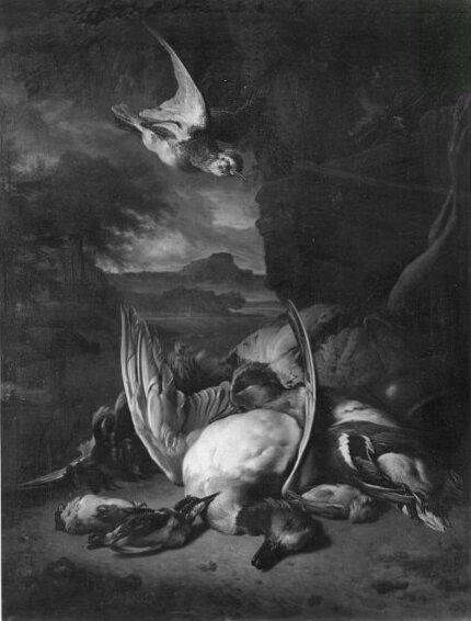 Jan Weenix, Stilife of many fold, dead birds, Landscape background