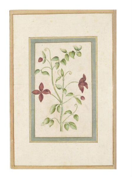 Unknown, Painting