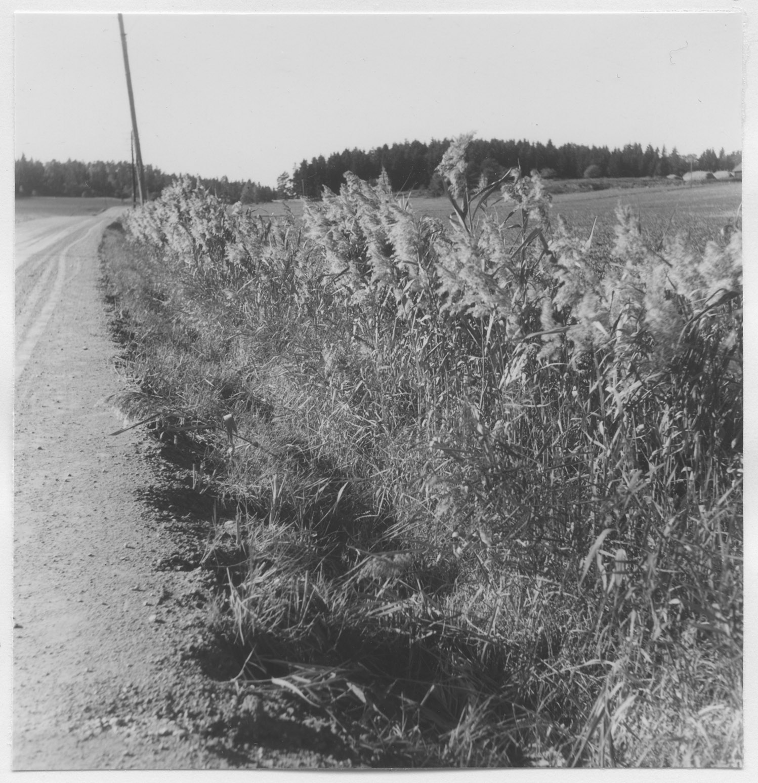 Mårten Sjöbeck, Vagnhärad