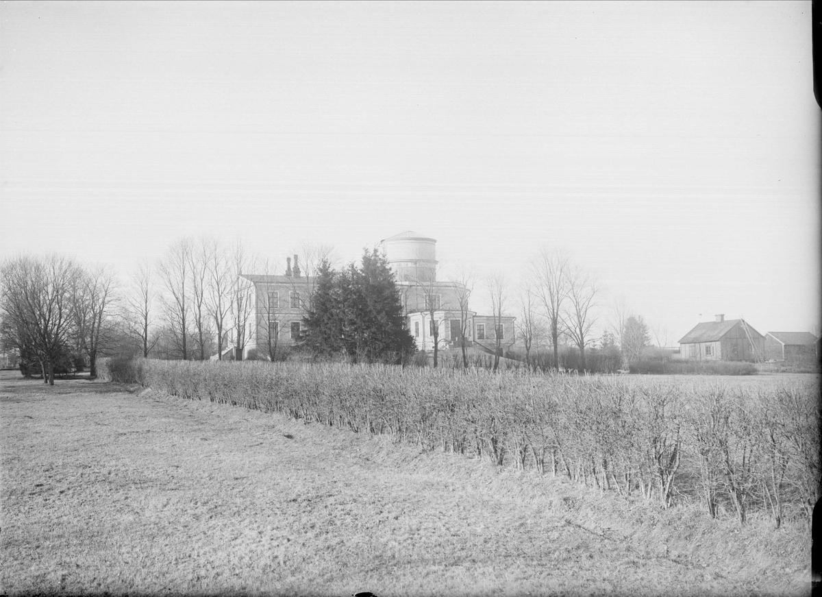 Alfred Dahlgren, Observatoriet från söder, Luthagen, Uppsala 1901 - 1902