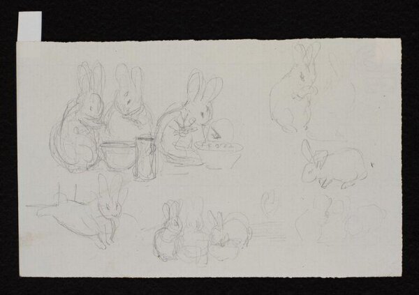 Potter, Beatrix, drawing
