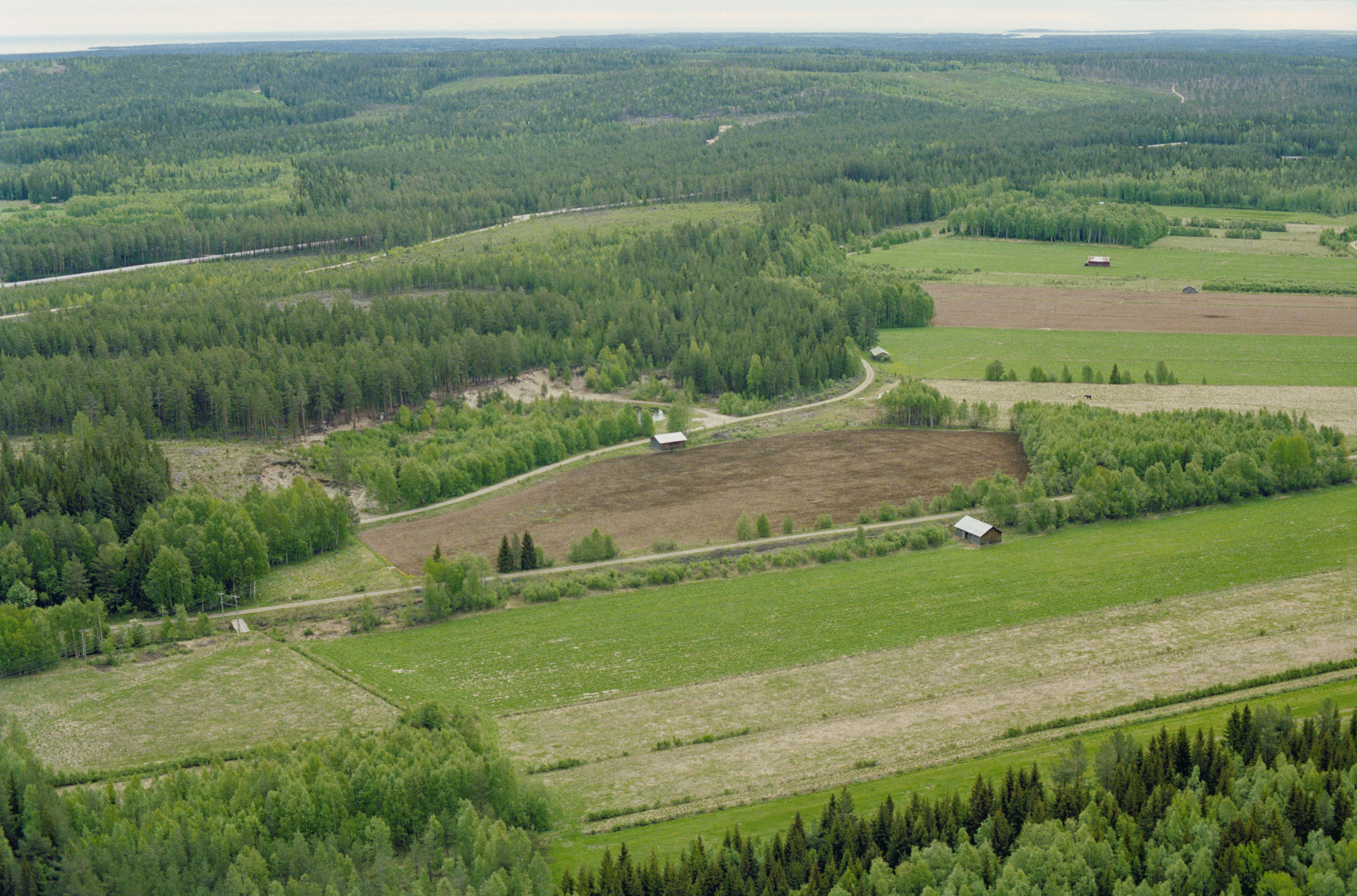Jan Norrman, Bureå 351:1