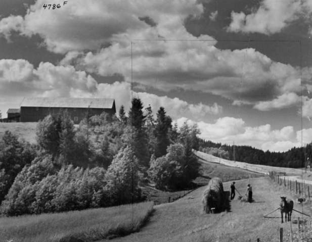 Anders Beer Wilse, -8047