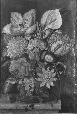 Diëgo Lopez Suasso, Bloemen