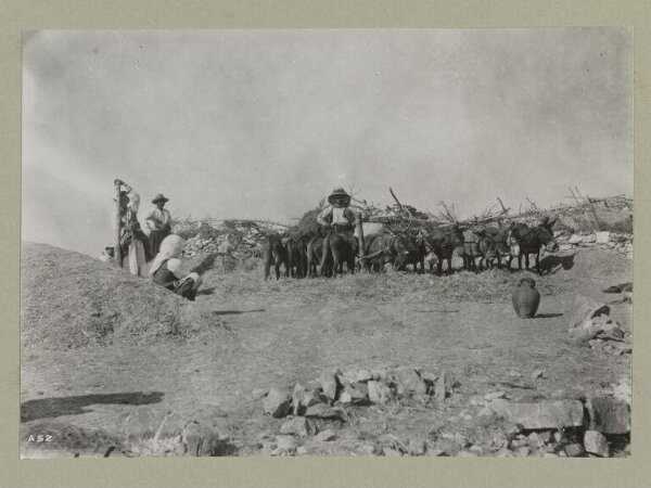 Unknown, A peasant farmer tending donkeys on a hillside in (?) Turkey