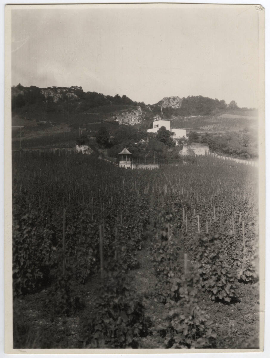 Anonym, Landhaus Carla Spanner, Gumpoldskirchen 270, Rotes Mäuerl, Niederösterreich, Blick über die Weinberge