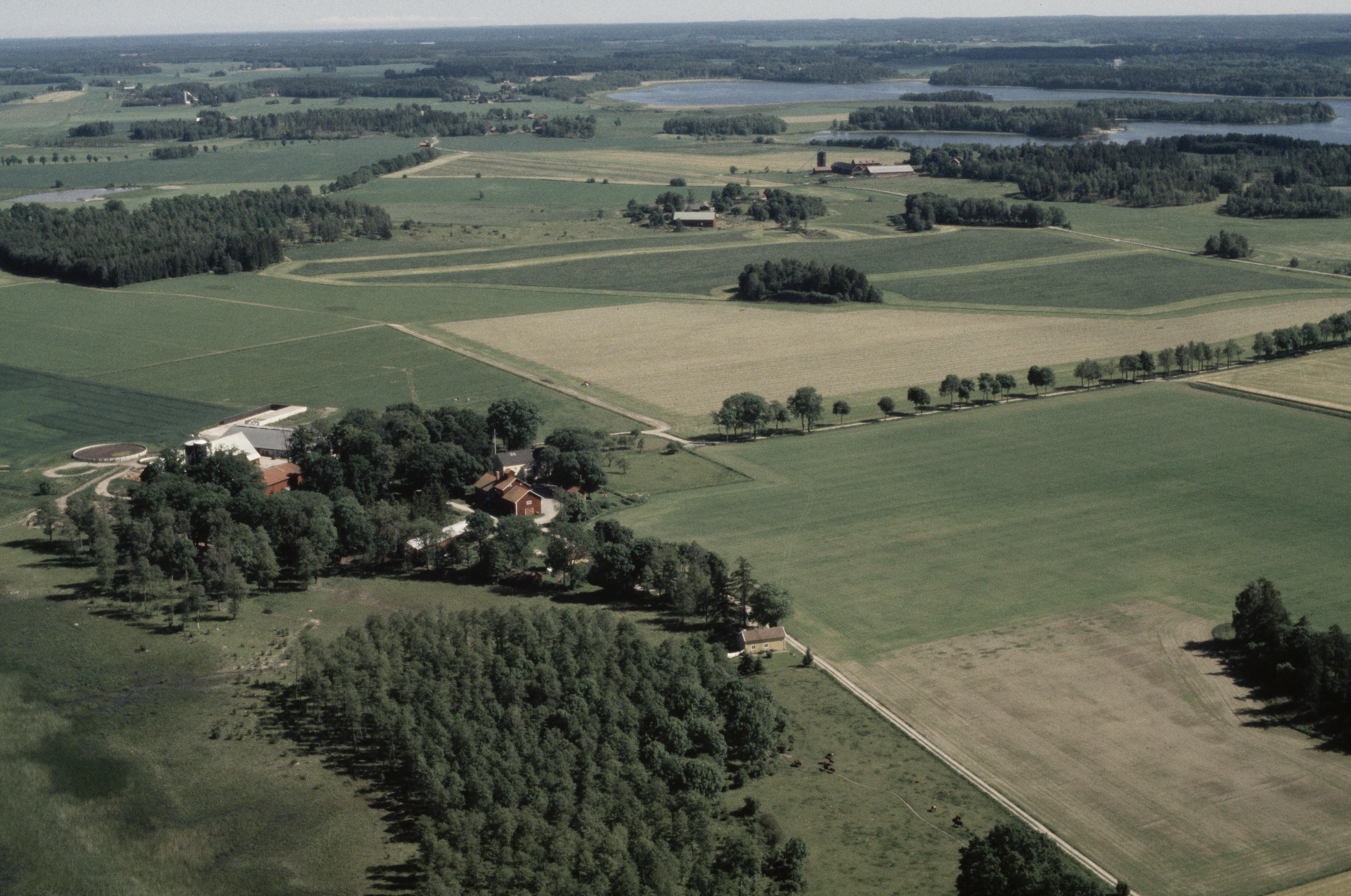 Jan Norrman, Stigtomta 135:1