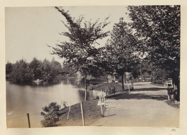Unknown, [View of a garden]