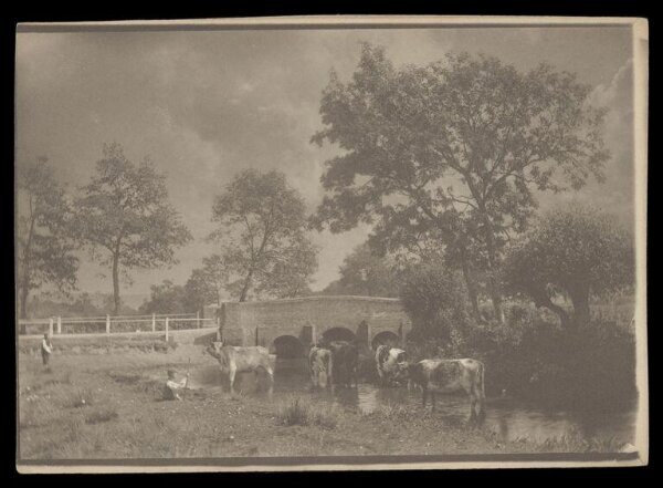 Gale, Lt. Col. Joseph, Cows in a stream