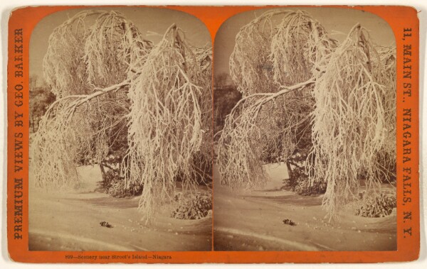 George Barker, Scenery near Street's Island - Niagara