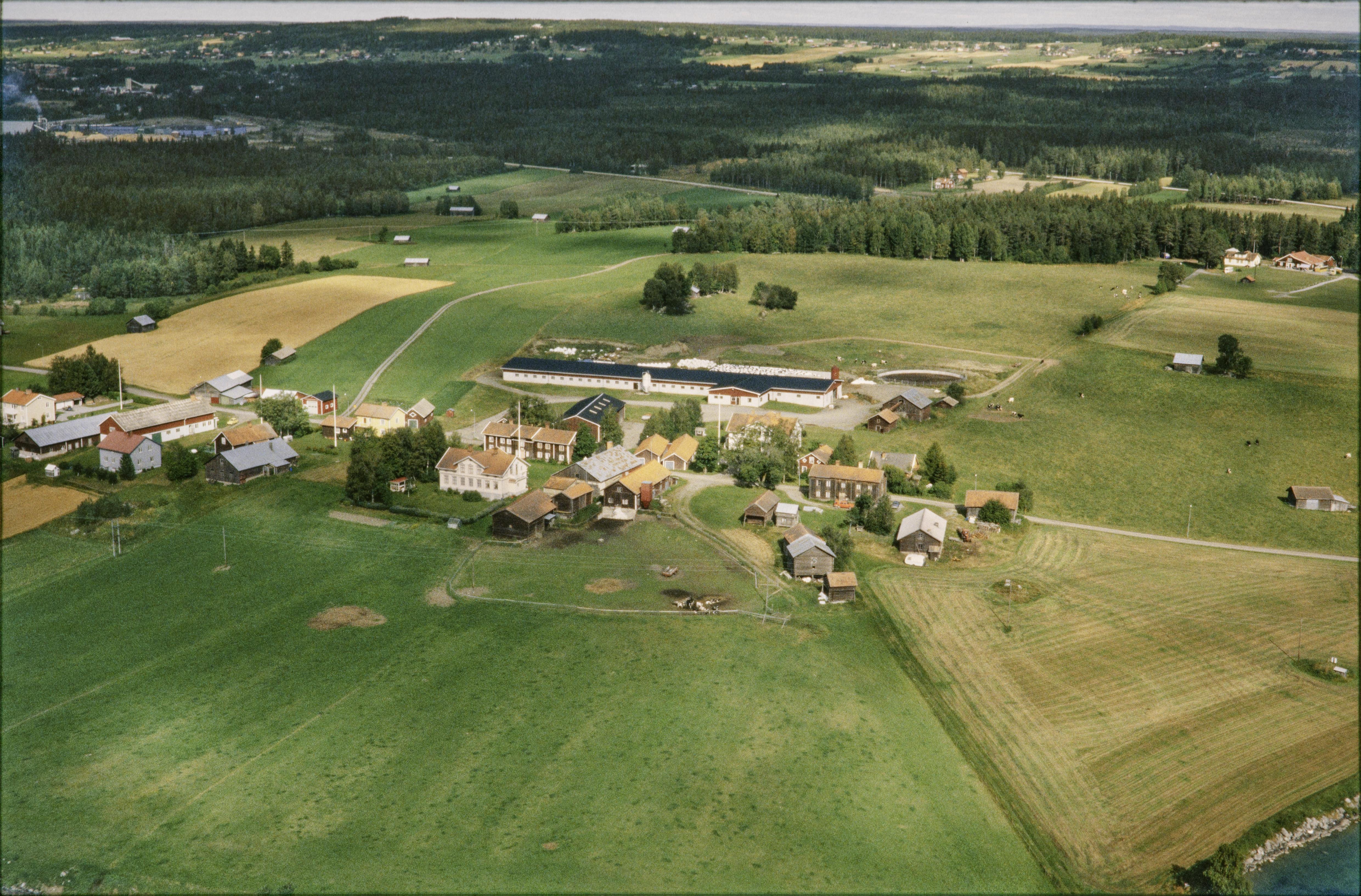 Jan Norrman, Lockne 175:1