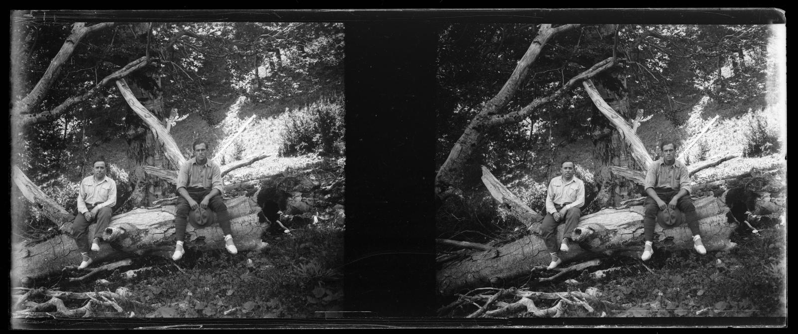 Desconegut, [Retrat de dos homes al bosc]