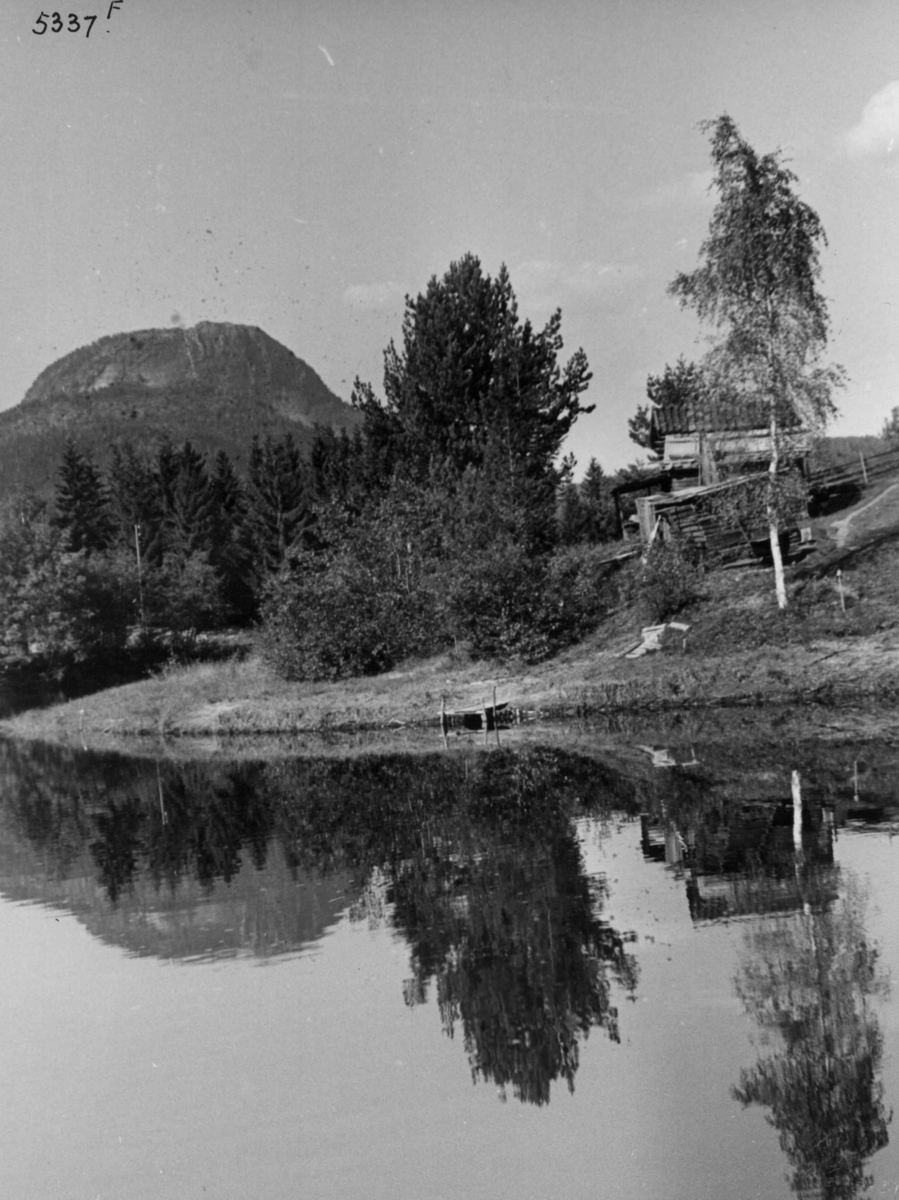 Anders Beer Wilse, Andersnatten