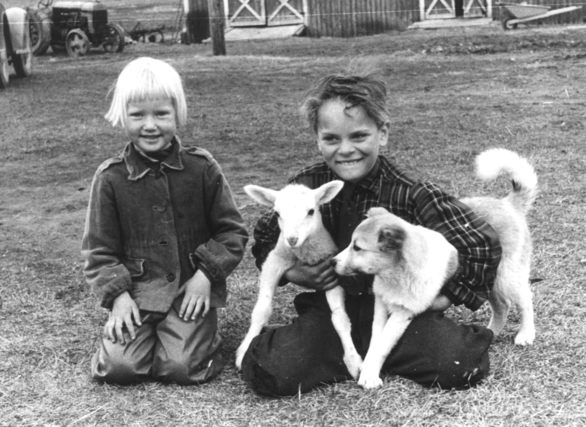 Anna Grostøl, Portrettav en gutt og en pike som sitter ute, gutten med et lam og en hund under hver arm. En traktor og del av en låve i bakgrunnen. Rostadal, Målselv-1940 årene.