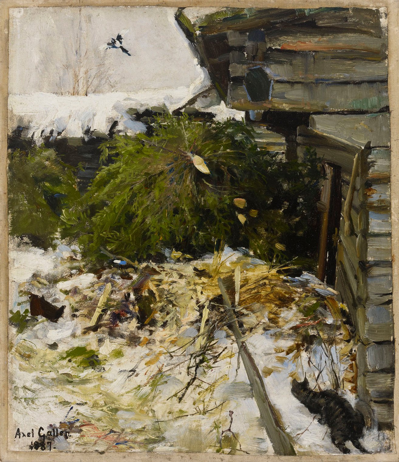 Akseli Gallen-Kallela, Spruces in a Farmyard