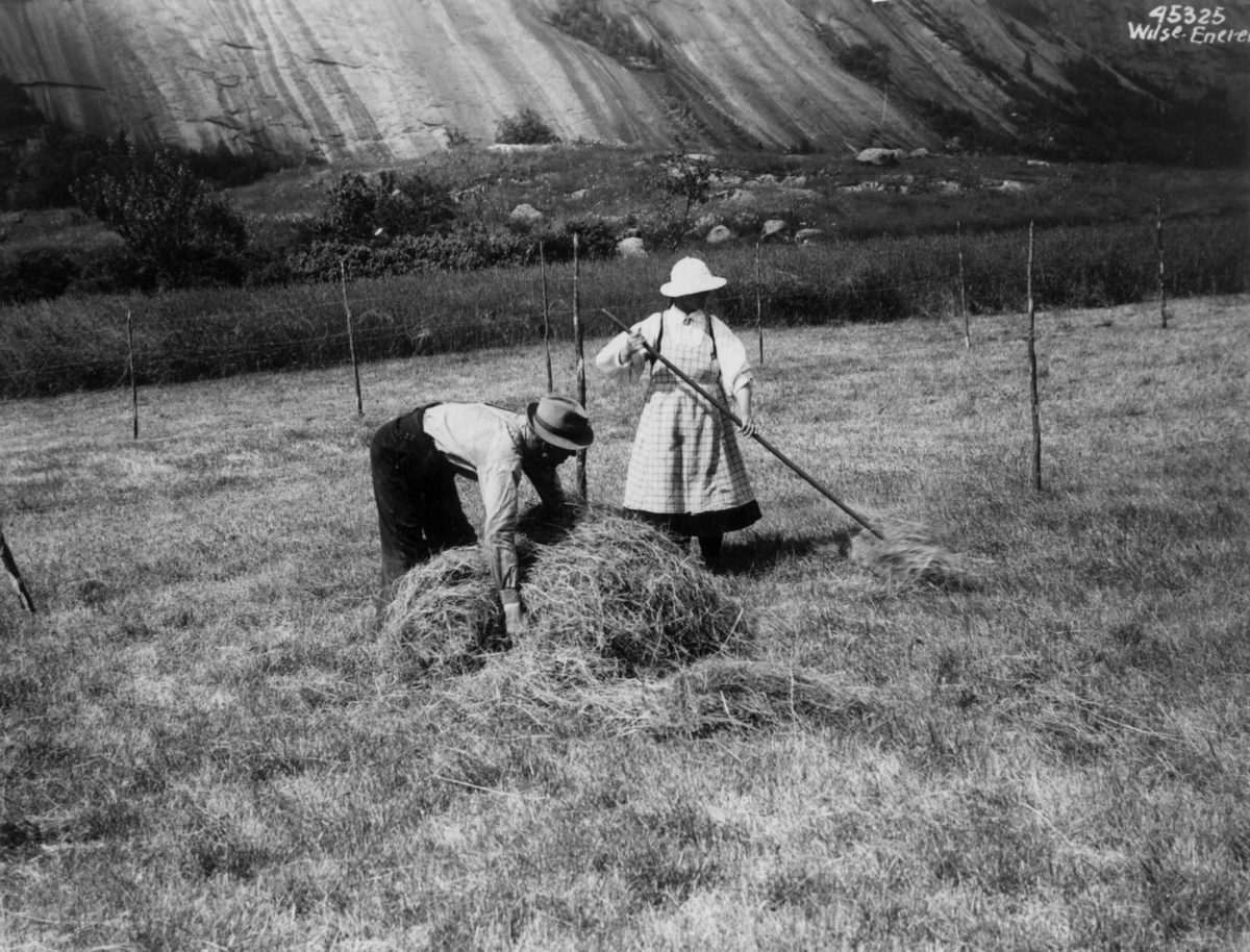 Anders Beer Wilse, Høying Valle