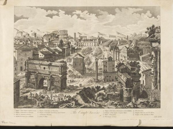 Unknown, The Campo Vaccino