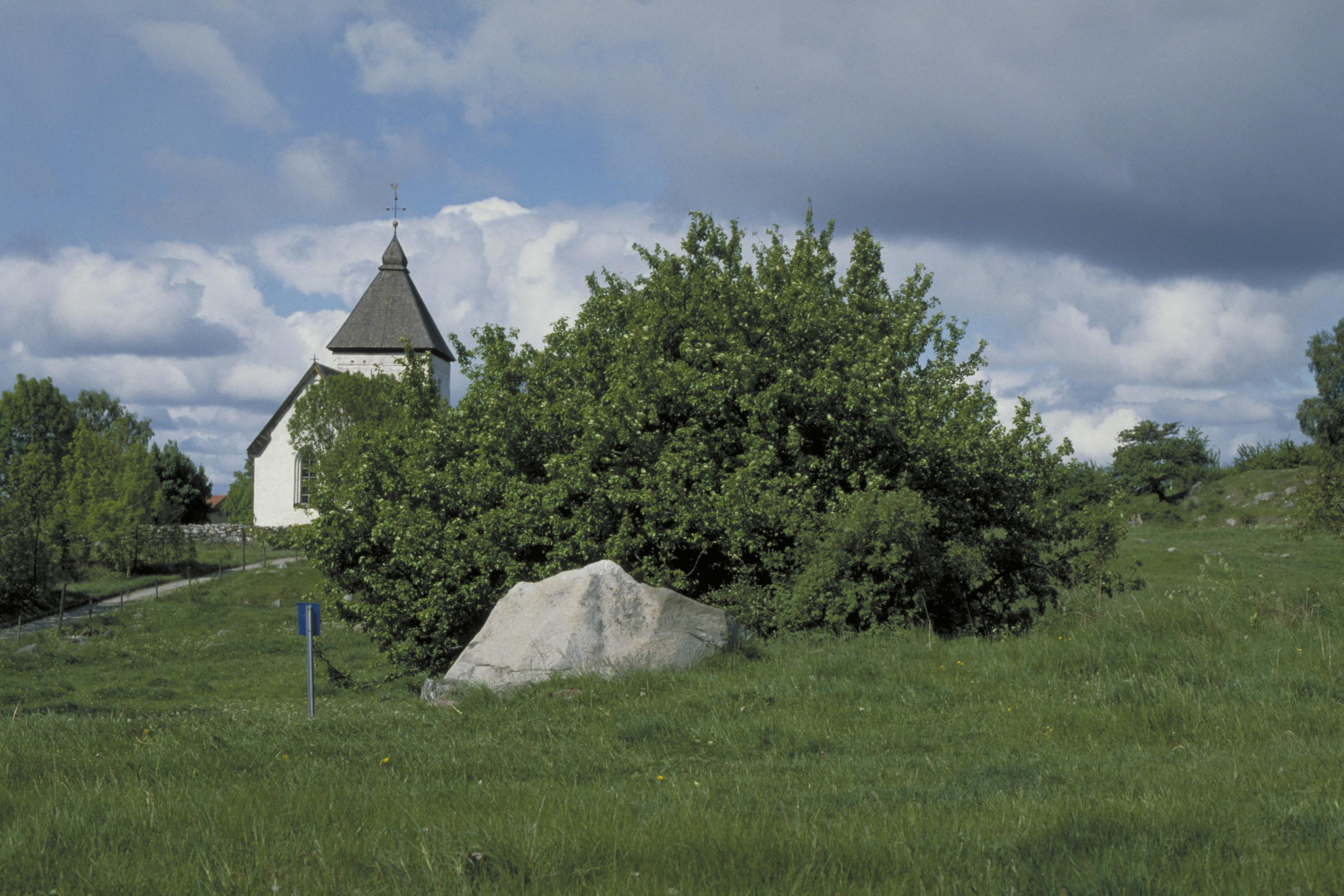 Bengt A Lundberg, U11 Adelsö Hovgården