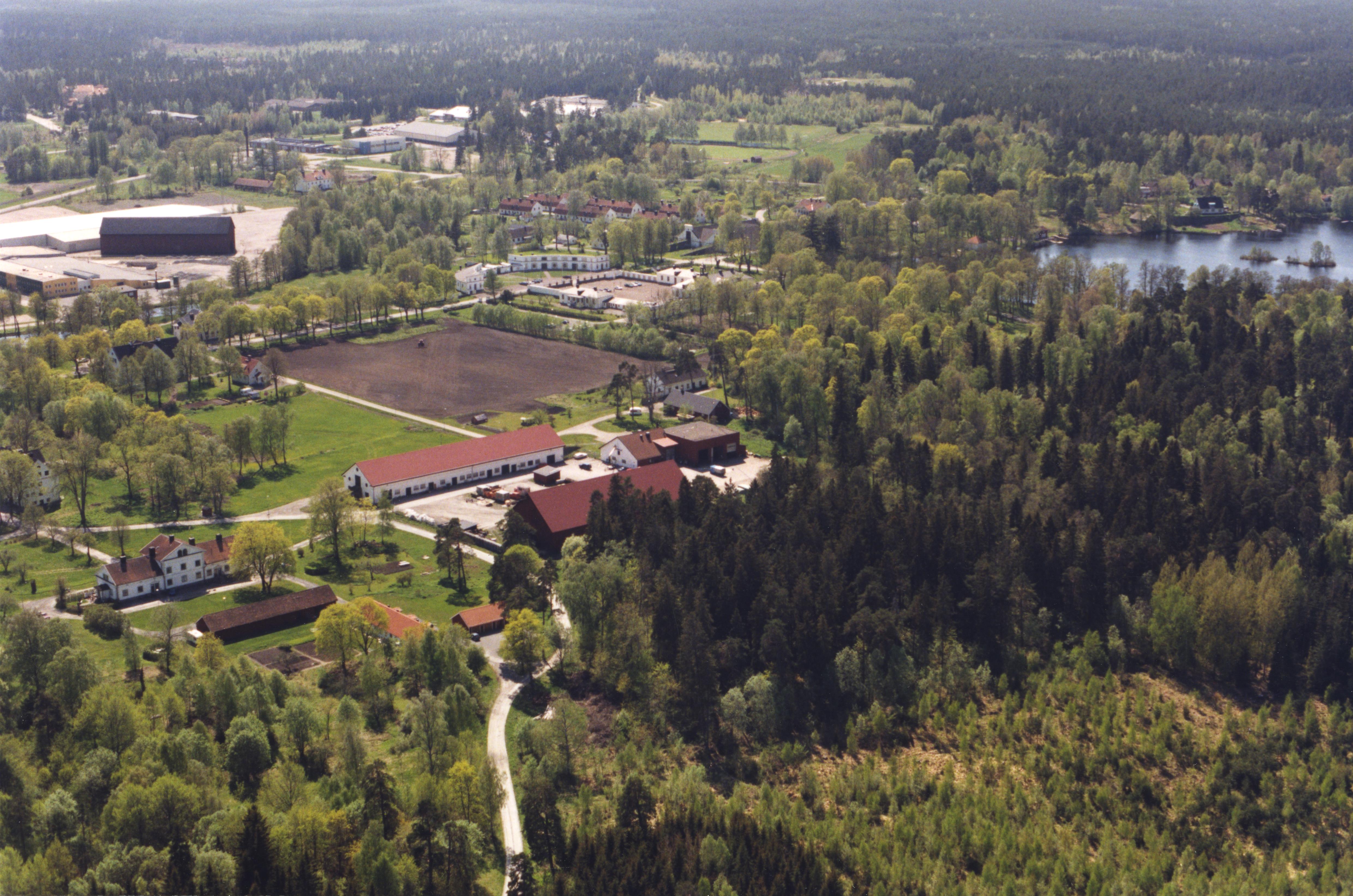 Jan Norrman, Skäfthammar 75:1
