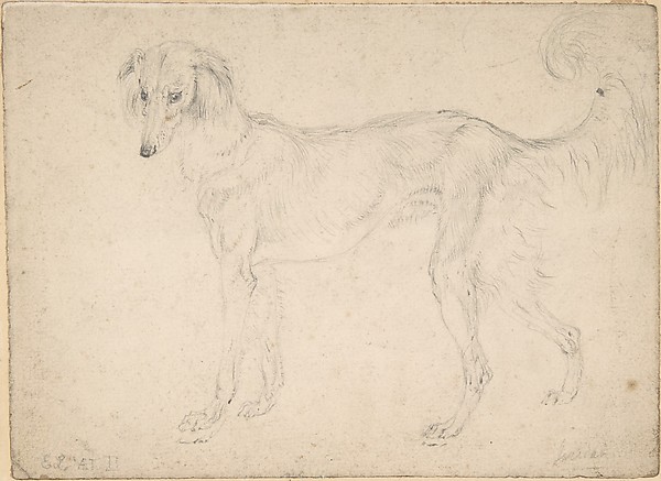 Sir Edwin Henry Landseer, Study of a feathered saluki, facing left