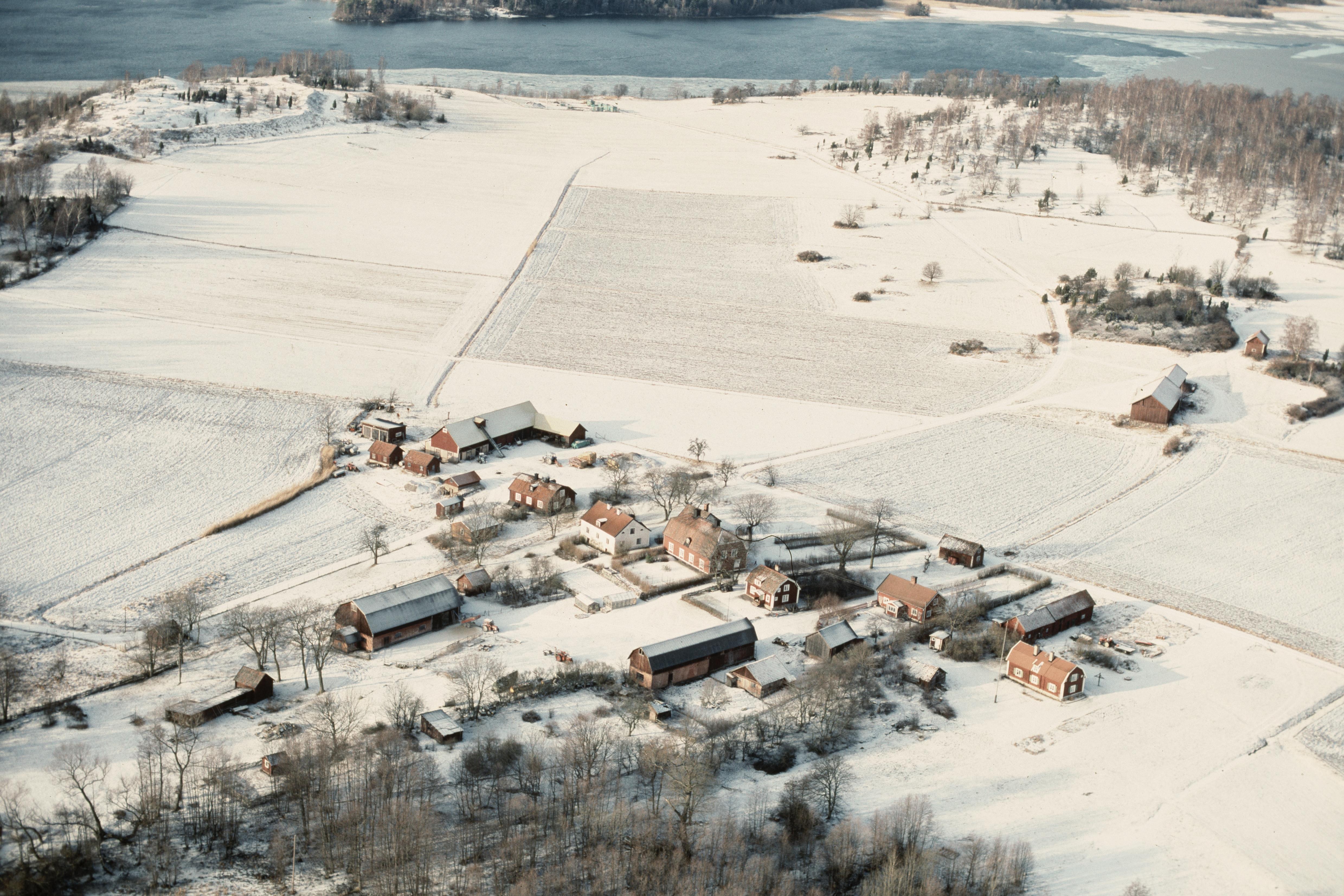 Jan Norrman, Adelsö 255:1