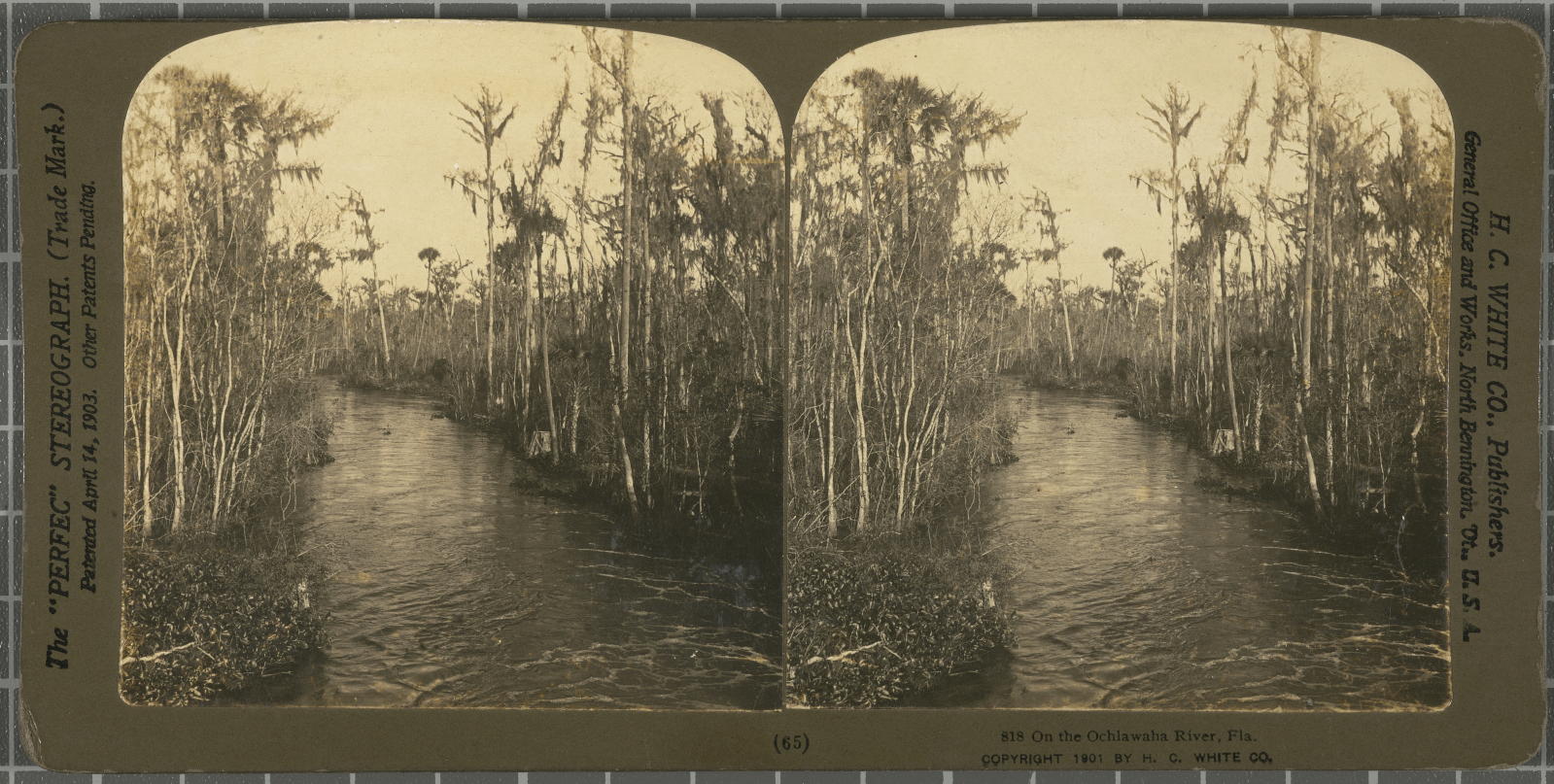 Desconegut, Where the Ochlawaha River White, H.C. & Co., The\ ‘Perfec\’ Stereograph