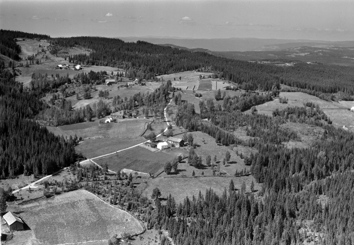Widerøes Flyveselskap A/S, Flyfoto av ukjent gard, Næroset, Ringsaker.