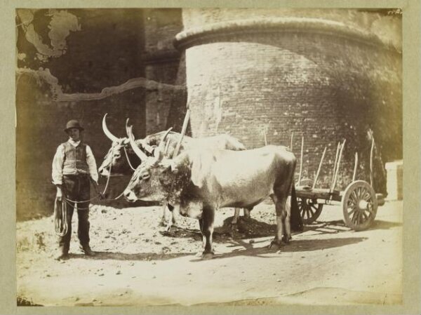 Unknown, Photograph
