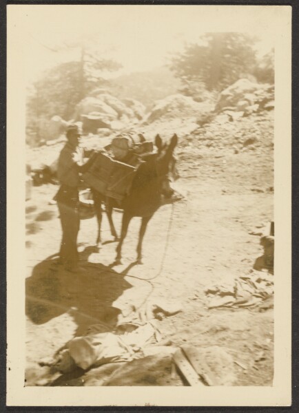 Louis Fleckenstein, [A Native American Boy and a Bull]