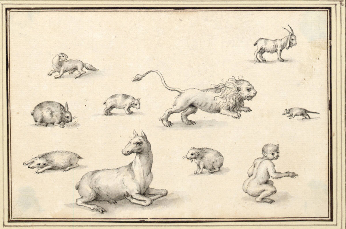 AlbertFlamen, Studienblatt mit zehn Tieren (springender Löwe, liegendes Pferd, Affe u.a.m.) (V-22)
