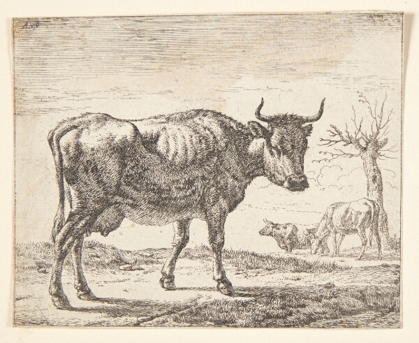 Adriaen van de Velde, Tre køer