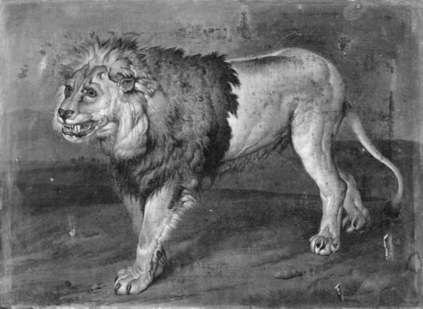 Philipp Ferdinand de Hamilton, En løve i et landskab
