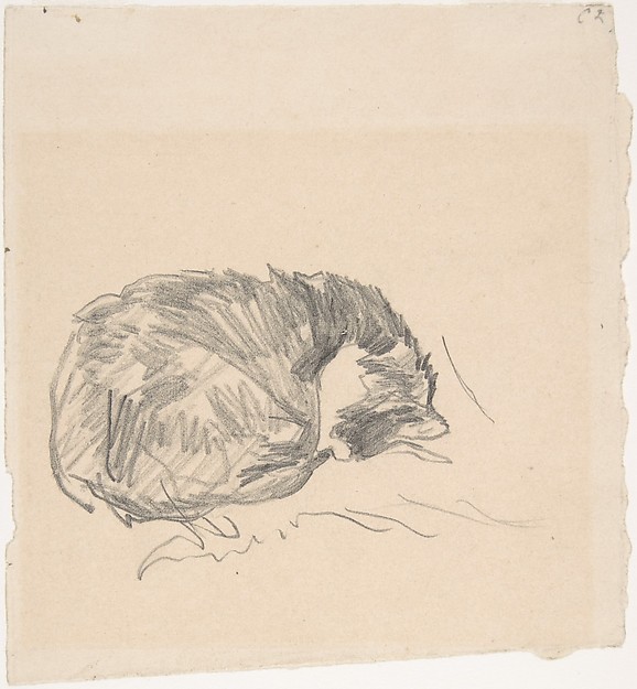 Edouard Manet, A Cat Curled Up, Sleeping