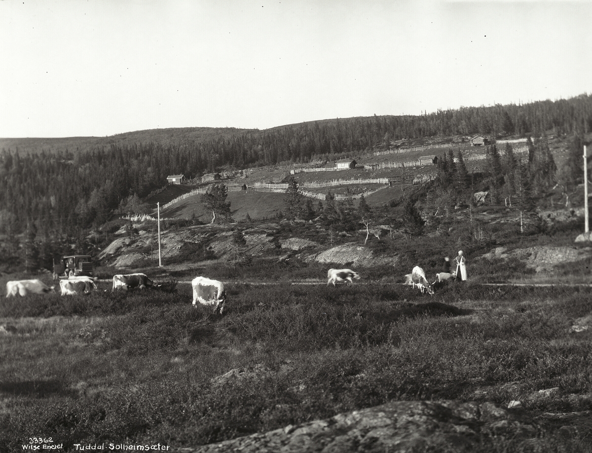 Anders Beer Wilse, Prot: Telemark - Tuddal, Solheimsæter