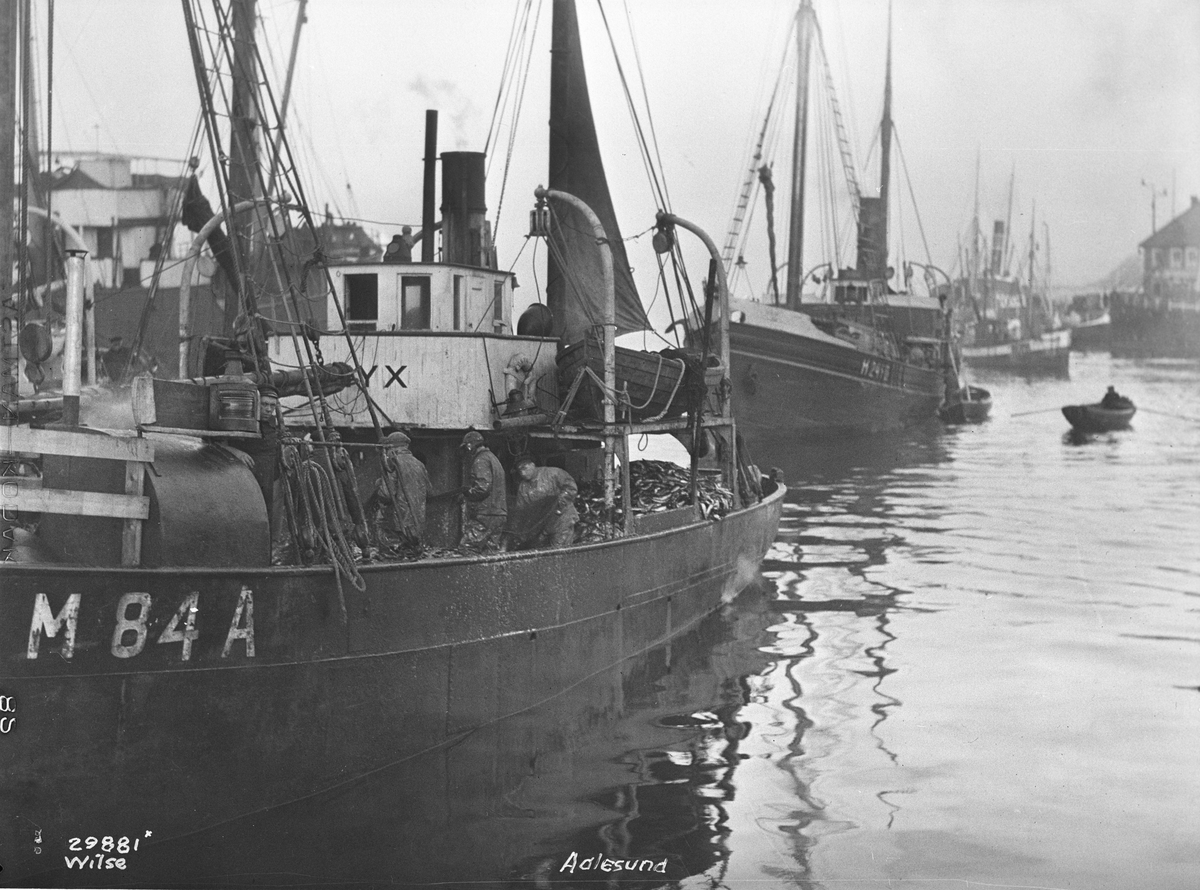 Anders Beer Wilse, Prot: Aalesunds havn