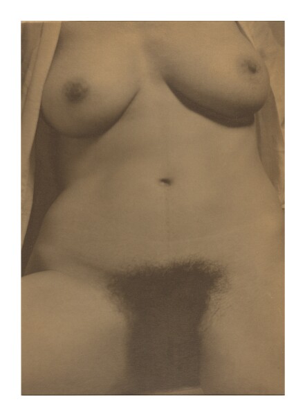 Alfred Stieglitz, Georgia O'Keeffe: A Portrait - Torso