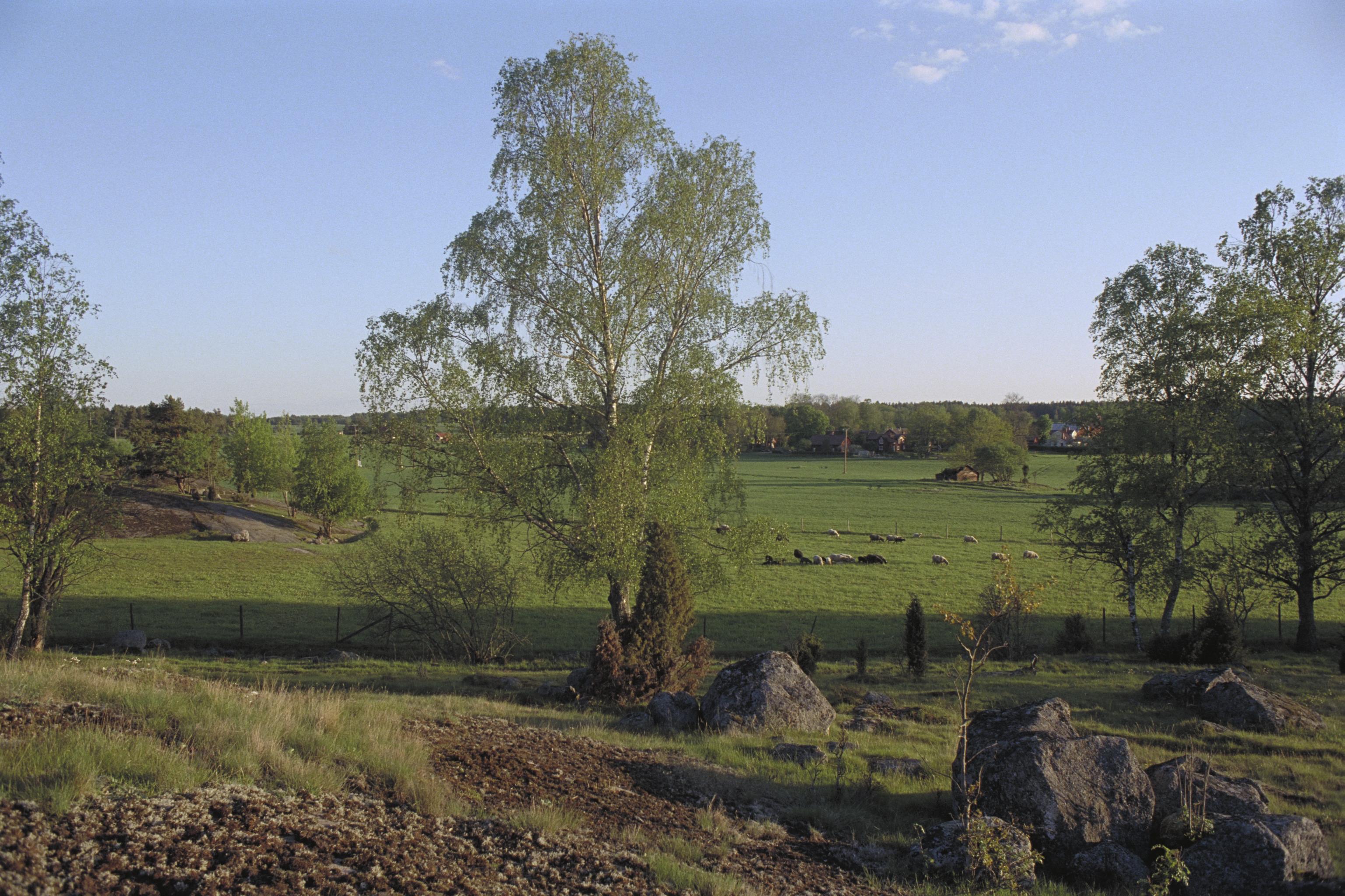 Bengt A Lundberg, Hemsta hagar