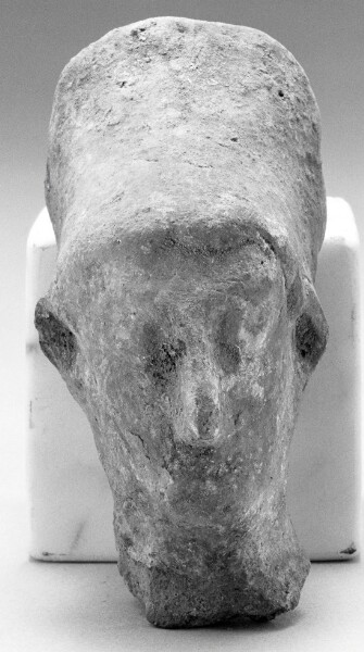 Unknown, Female(?) Head