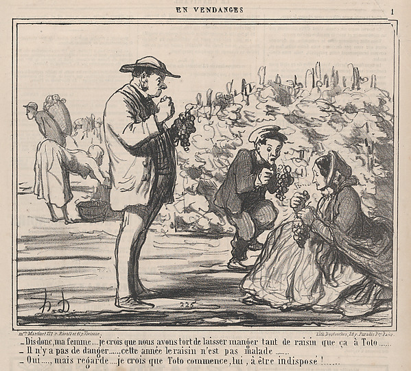 Honoré Daumier, Dis-donc, ma femme.... je crois que nous avons tort de laisser manger tant de raisin que ça à Toto ....., from En Vendanges, published in Le Charivari, September 21, 1859