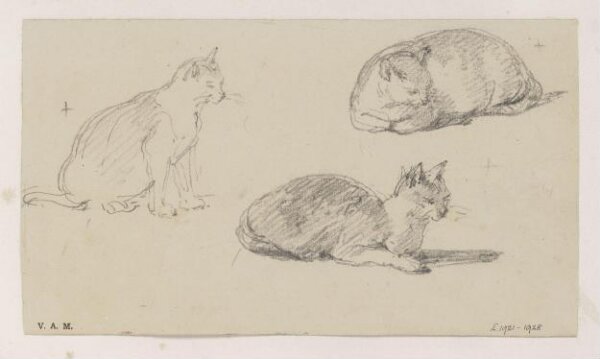 George Chinnery, Three drawings of a cat