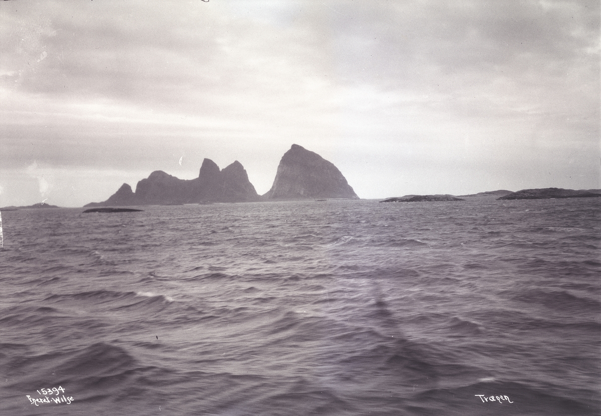 Anders Beer Wilse, Prot: Fiskeværet Træna, Helgeland