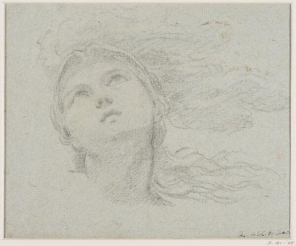 Domenichino, Helmeted head of a woman gazing upward