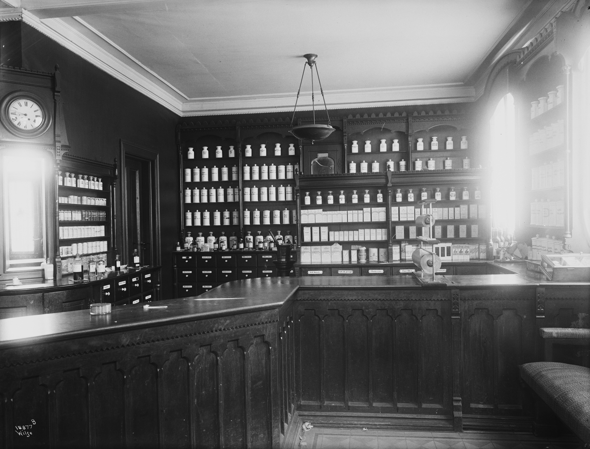 Anders Beer Wilse, Prot: Elefant Apotheket int