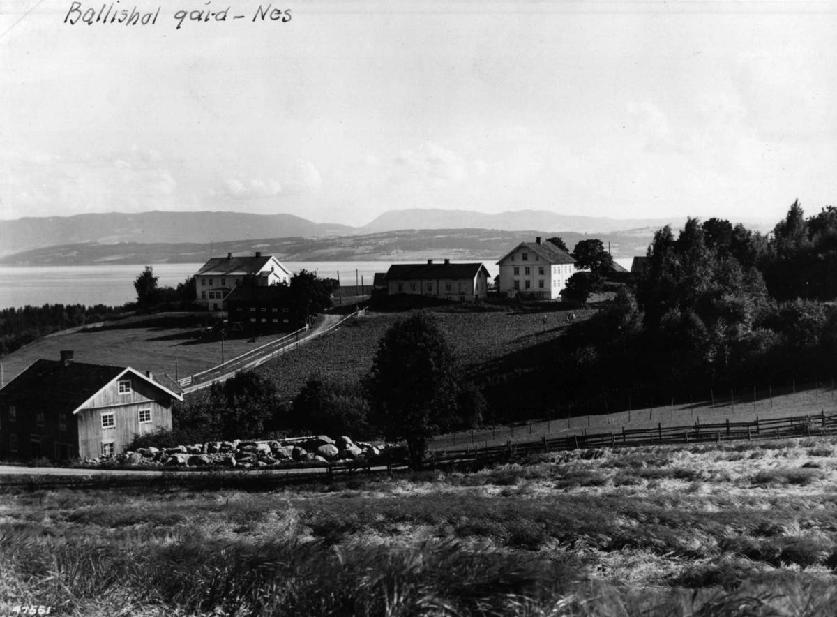 Anders Beer Wilse, Ballishol gård
