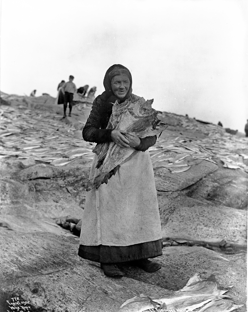 Anders Beer Wilse, Prot: Genere Et Fange med Klipfisk Sep. 1902