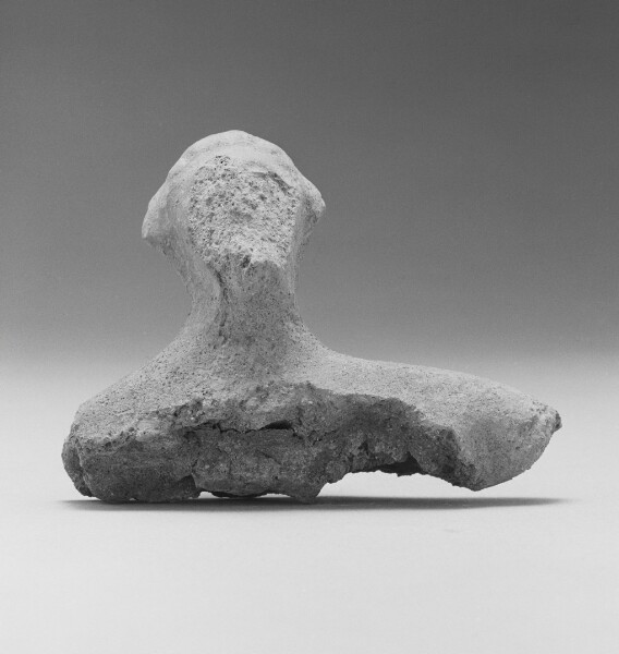Unknown, Human Head and Shoulders
