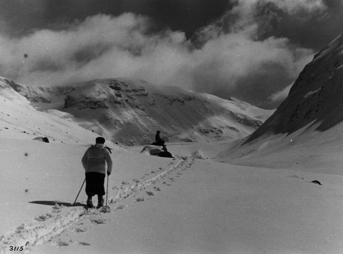 Anders Beer Wilse, Friluftsliv / Sport Jotunheimen Ski Sno Heilstugubreen